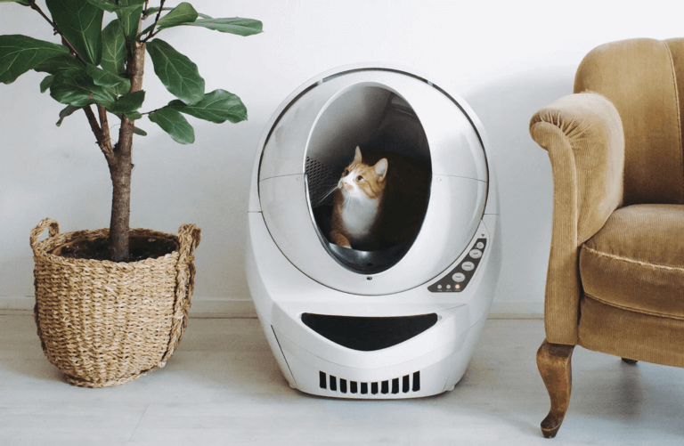 LITTER-ROBOT 3 CONNECT, KEDİNİZİ OTOMATİK TEMİZLEYECEK. Times de Luxe