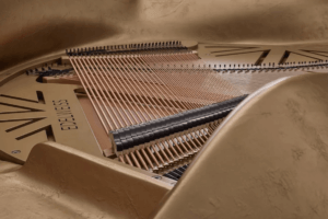 EDELWEISS PIANOS MARKASININ MÜZİK SANATI | Times de Luxe