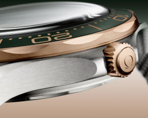 OMEGA SEAMASTER DIVER 300M TİTANYUM ve BRONZ ALTIN | Times de Luxe